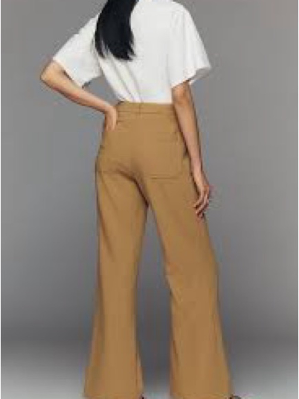 Anthropologie Wide-Leg High-Rise Pants in Camel Brown